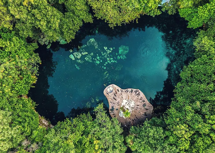 Sandos Caracol Nature & Water Park All Inclusive (Adults Only)Resort Hotel